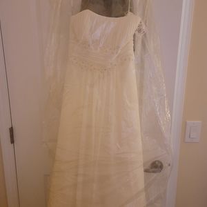 Size 10 Wedding dress from Davids Bridal